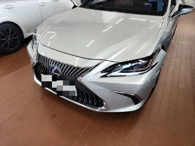 2019 Lexus ES 300 VIN: