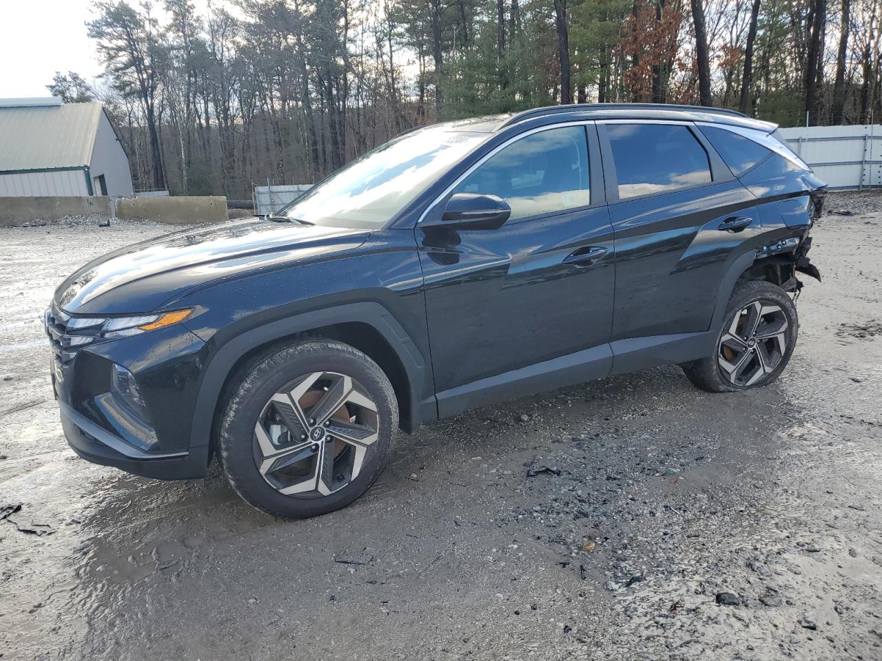 2024 HYUNDAI TUCSON SEL VIN:5NMJFCDEXRH405807