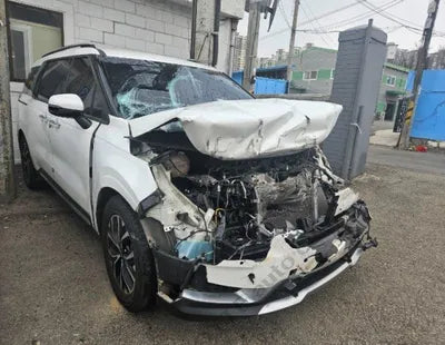 2021 Kia Carnival KNANC81BBMS017347 VIN:KNANC81BBMS017347