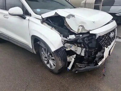 2019 Hyundai Santa FE KMHS281BDKU007298 VIN:KMHS281BDKU007298