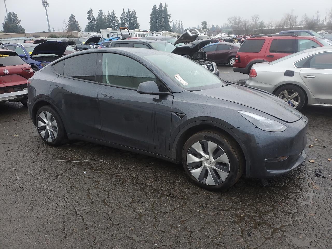2024 TESLA MODEL Y  VIN:7SAYGDEE0RF990434