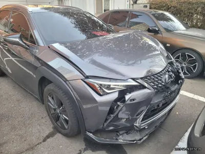 2019 Lexus UX 250 JTHY6JBHXK2026749 VIN:JTHY6JBHXK2026749