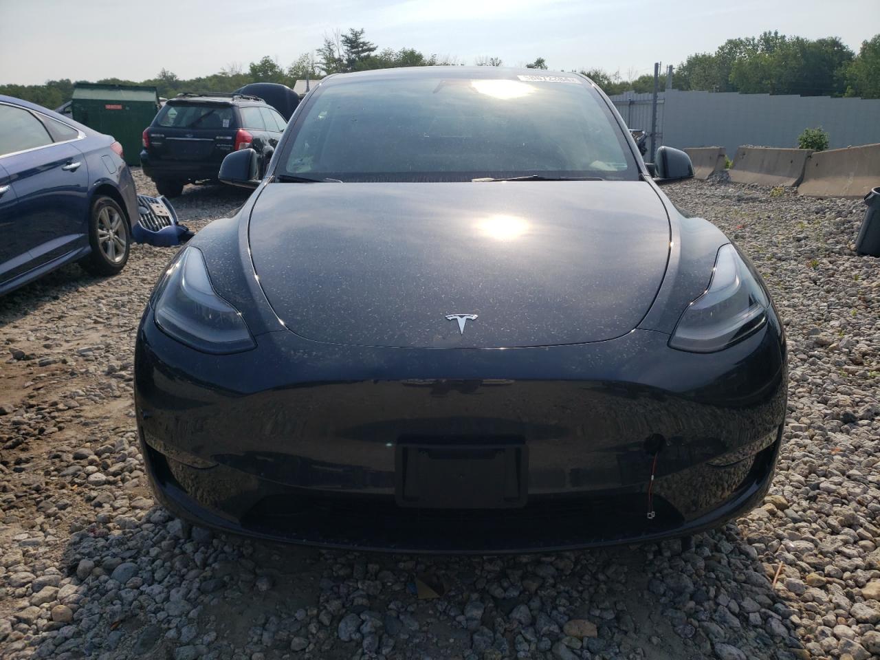 2024 TESLA MODEL Y  VIN:7SAYGDEE8RF037809