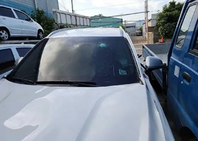 2019 Hyundai Santa FE KMHS381ADKU169994 VIN:KMHS381ADKU169994