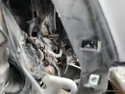 2022 Kia Sorento KNARL81GBNA082822 VIN:KNARL81GBNA082822