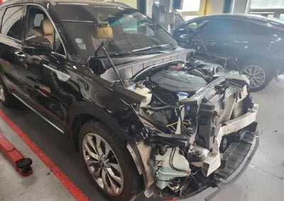 2021 Kia Sorento KNARK81BGMA015150 VIN:KNARK81BGMA015150