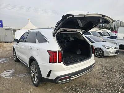 2021 Kia Sorento KNARH81BGMA053240 VIN:KNARH81BGMA053240