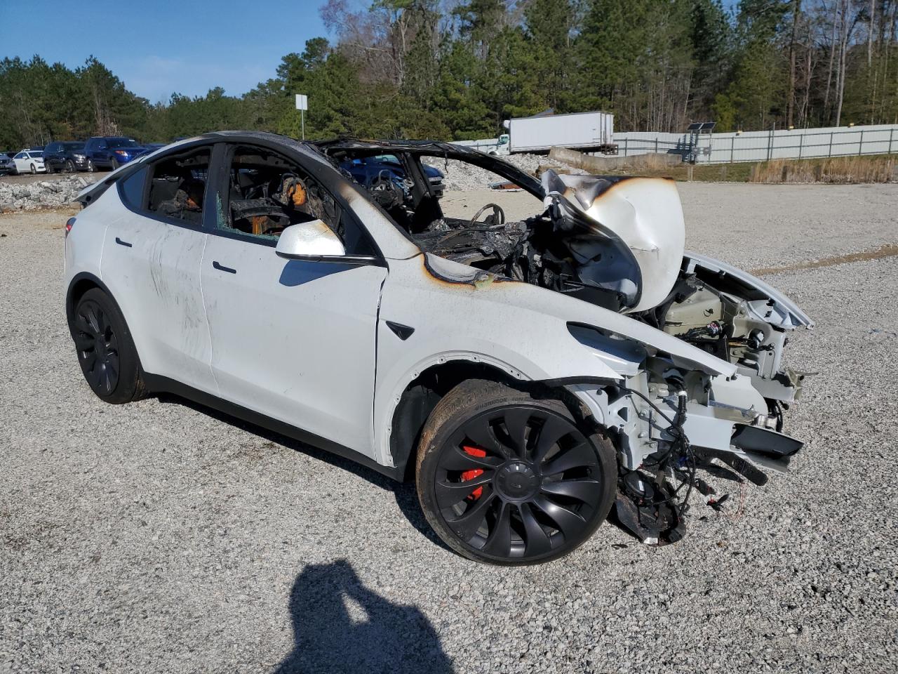 2024 TESLA MODEL Y  VIN:7SAYGDEF5RF183755