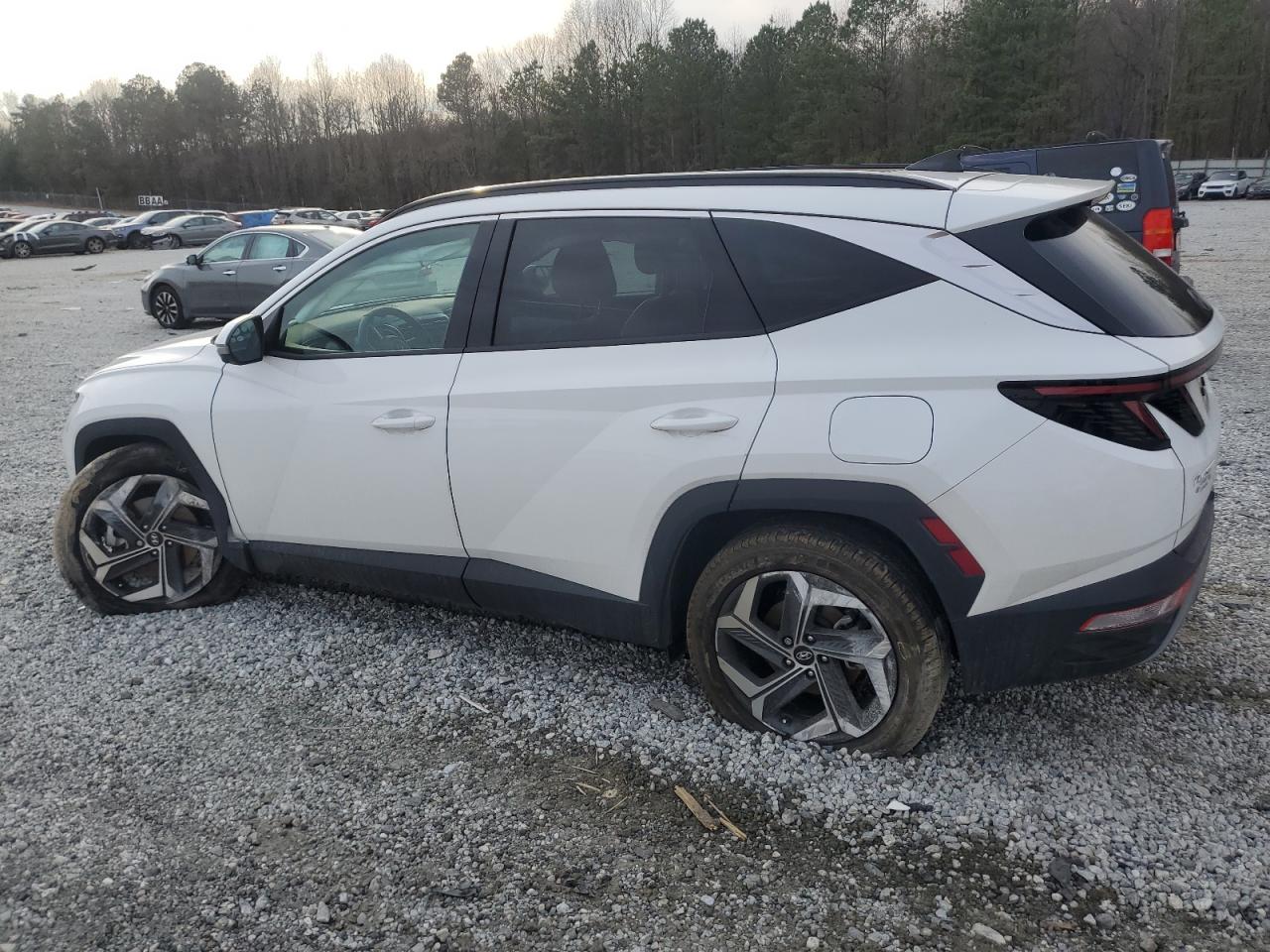 2024 HYUNDAI TUCSON LIMITED VIN:5NMJECDE1RH412096