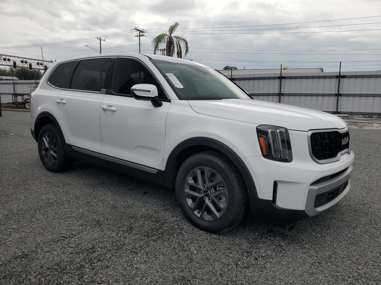 2024 KIA TELLURIDE LX VIN:5XYP2DGC0RG461190