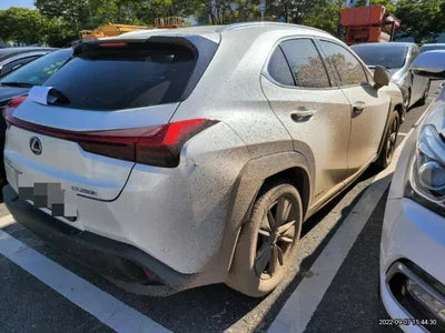 2020 Lexus UX 250 JTHP6JBH5L2073913 VIN:JTHP6JBH5L2073913