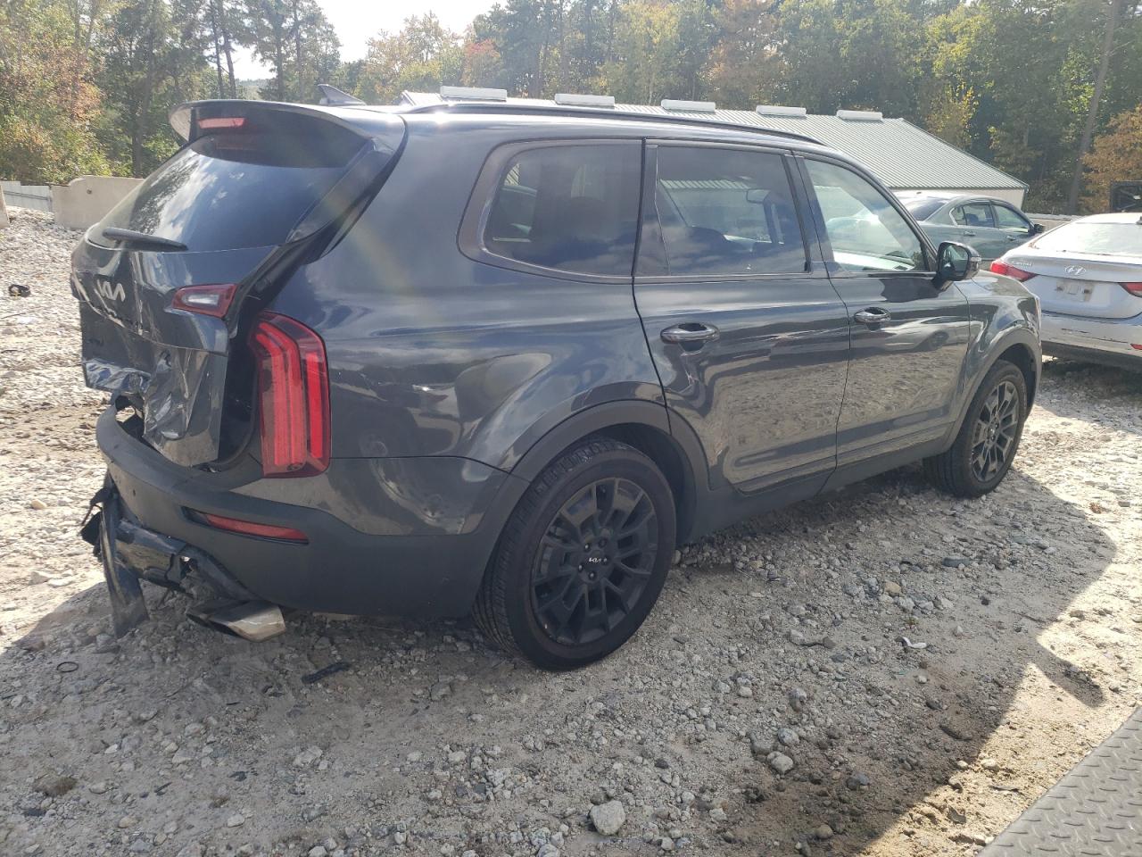 2022 KIA TELLURIDE SX VIN:5XYP5DHCXNG310678