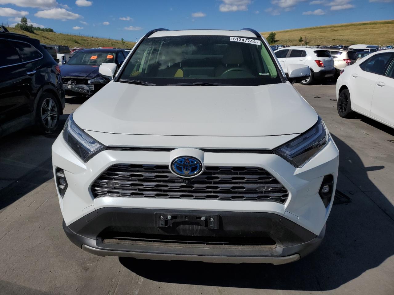 2023 TOYOTA RAV4 LIMITED VIN:JTMD6RFV8PD114905