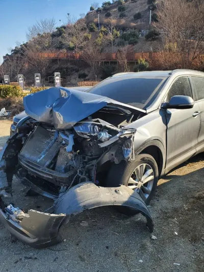 2017 Hyundai Santa FE KMHSW81UBHU765008 VIN:KMHSW81UBHU765008