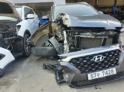 2019 Hyundai Santa FE KMHS381BBKU046289 VIN:KMHS381BBKU046289