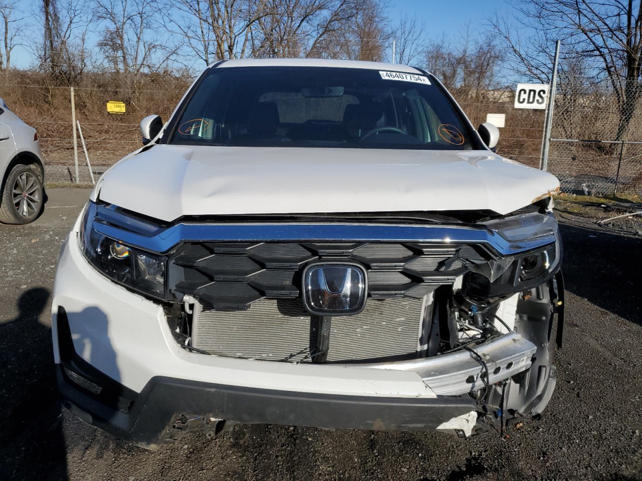 2023 HONDA PASSPORT EXL VIN:5FNYF8H55PB011149