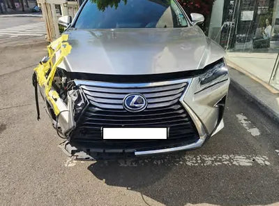 2017 Lexus RX 450 JTJBGMCA8H2025919 VIN:JTJBGMCA8H2025919