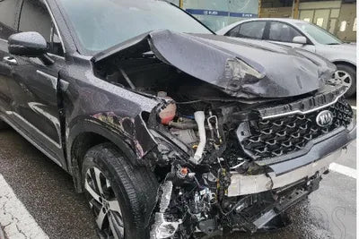 2021 Kia Sorento KNARF81BGMA060485 VIN:KNARF81BGMA060485