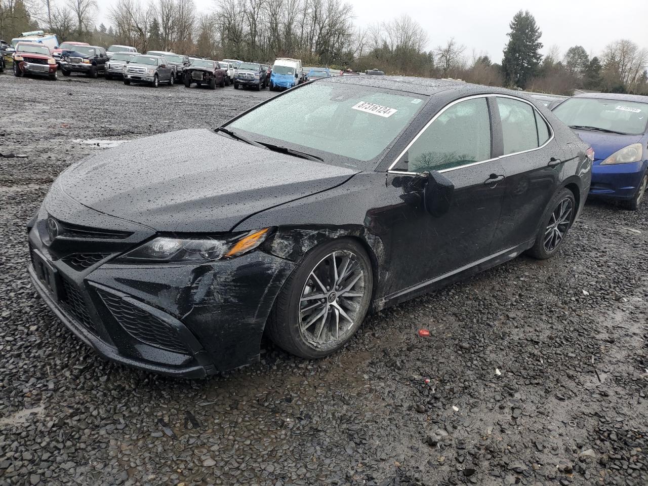2023 TOYOTA CAMRY SE NIGHT SHADE VIN:4T1T11AK1PU165487