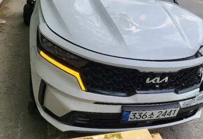 2022 Kia Sorento KNARL81GBNA106902 VIN:KNARL81GBNA106902