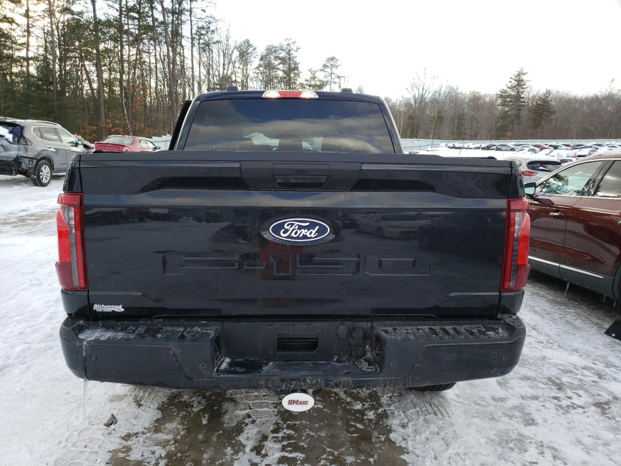 2024 FORD F150 STX VIN:1FTEW2LP9RKD96519