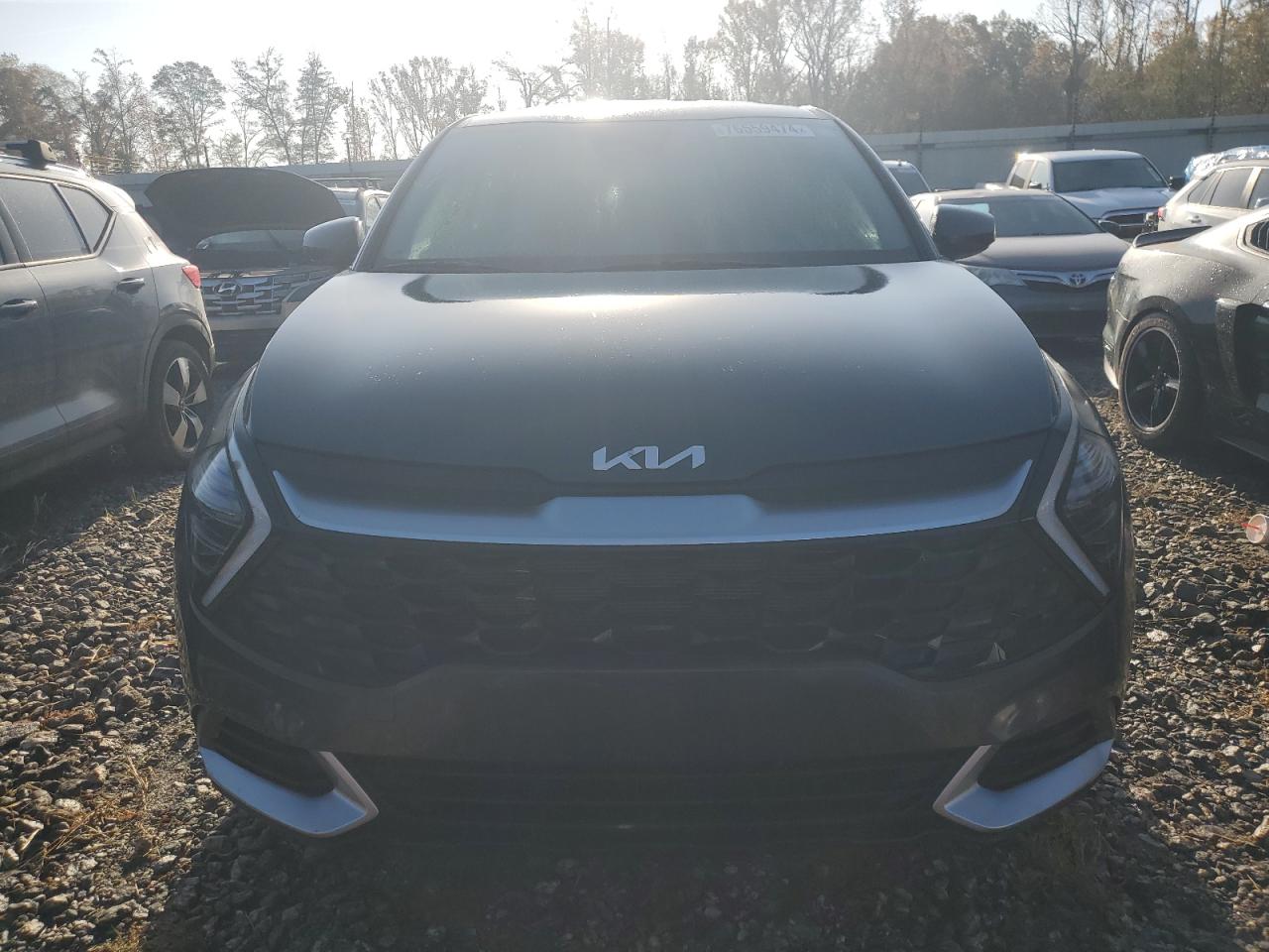 2024 KIA SPORTAGE LX VIN:KNDPUCDFXR7243354