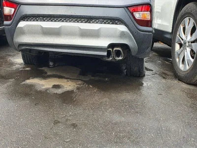 2019 Hyundai Santa FE KMHS281BBKU160055 VIN:KMHS281BBKU160055