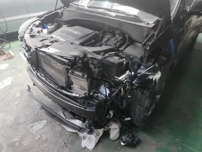 2017 Hyundai Santa FE KMHSW81UBHU769349 VIN:KMHSW81UBHU769349