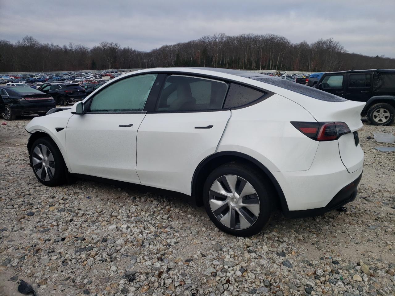 2024 TESLA MODEL Y  VIN:7SAYGDEE0RA239959