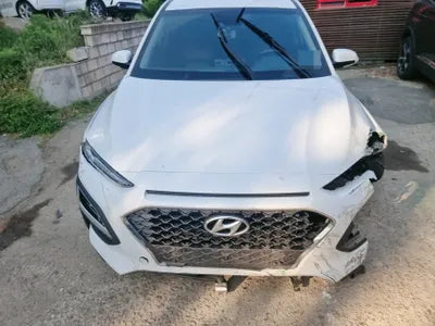 2020 Hyundai Kona KMHK4815GLU563273 VIN:KMHK4815GLU563273