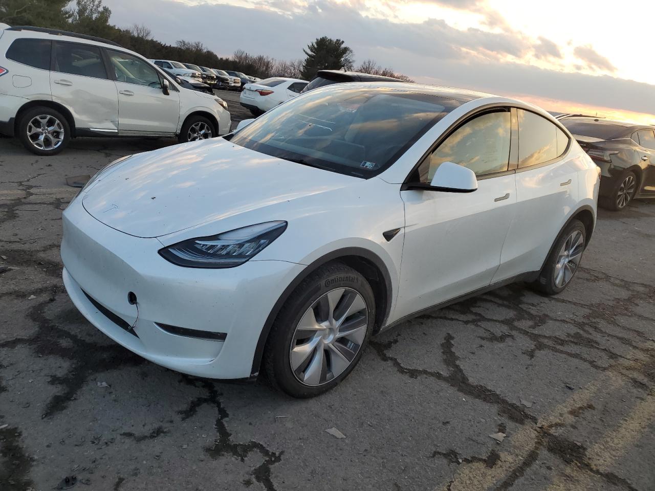 2023 TESLA MODEL Y  VIN:7SAYGDEE0PA056087