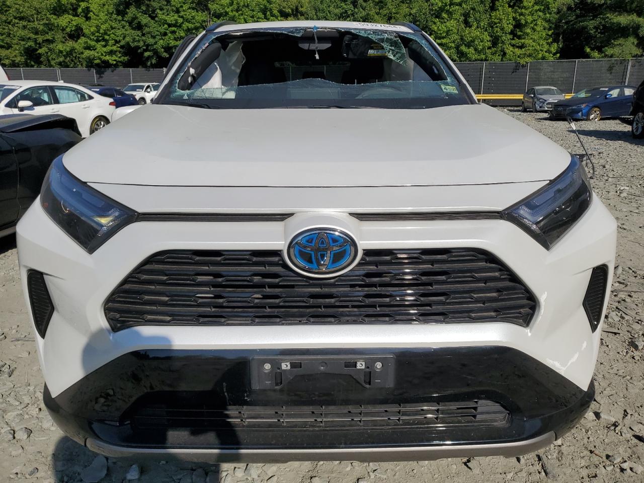 2023 TOYOTA RAV4 SE VIN:4T3T6RFV0PU116307