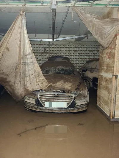 2015 acupuncture nessis 3.3 VIN: