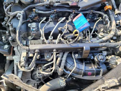 2019 Kia Sorento 587KMKNAPH81ABKA4 VIN:587KMKNAPH81ABKA4