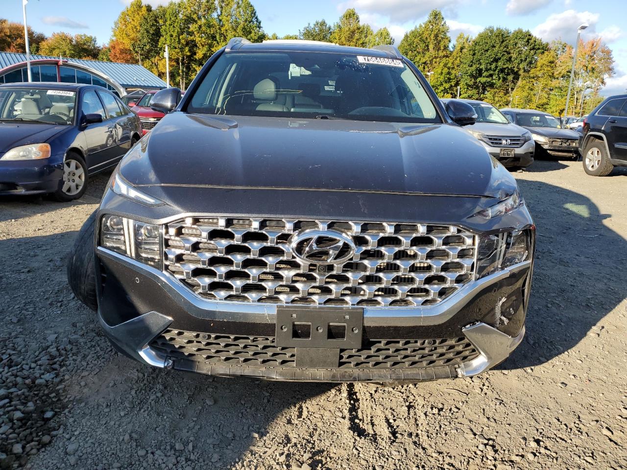 2023 HYUNDAI SANTA FE LIMITED VIN:5NMS4DAL7PH532076