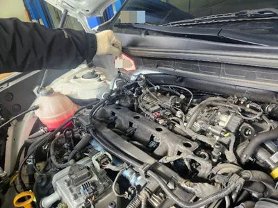 2022 Kia Sorento KNARL81BGNA165588 VIN:KNARL81BGNA165588