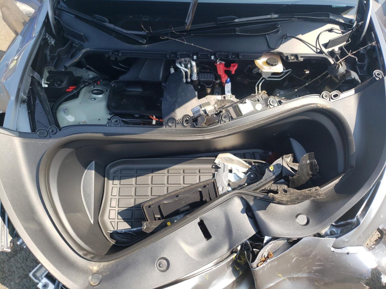 2024 TESLA MODEL Y  VIN:7SAYGDEE0RA279295