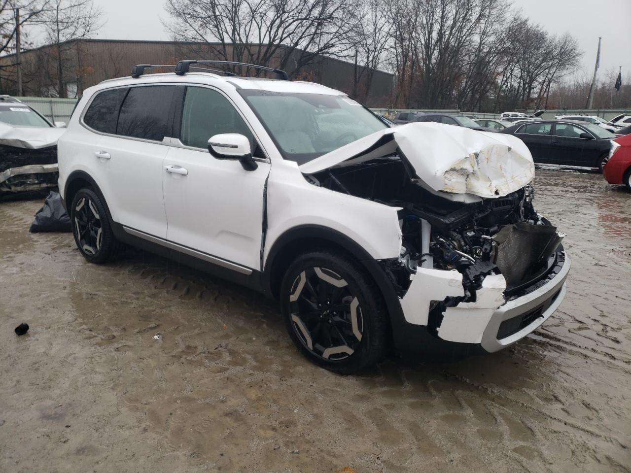 2024 KIA TELLURIDE EX VIN:5XYP34GCXRG487275