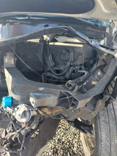 2021 Kia Carnival KNANE813BMS094821 VIN:KNANE813BMS094821