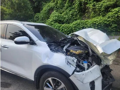 2019 Kia Sorento VIN: