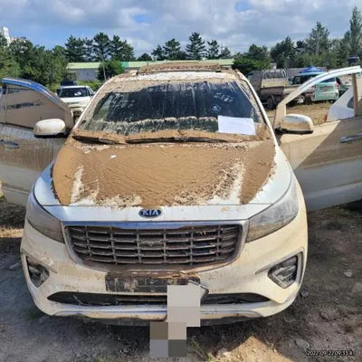 2019 Kia Carnival 395KMKNAME81ABKS5 VIN:395KMKNAME81ABKS5