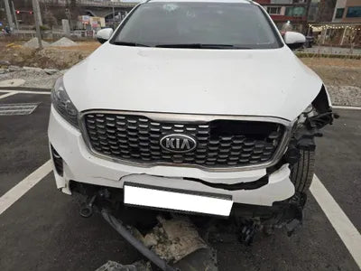 2019 Kia Sorento KNAPG81BDKA540068 VIN:KNAPG81BDKA540068