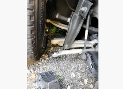 2021 Tesla Model 3 5YJ3E1EB3MF951606 VIN:5YJ3E1EB3MF951606