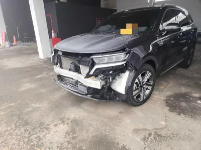 2021 Kia Sorento KNARL81GBMA050631 VIN:KNARL81GBMA050631