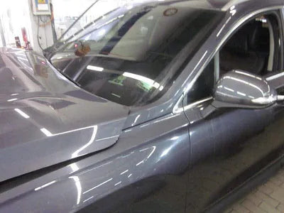 2020 Hyundai Santa FE KMHS381HGMU333983 VIN:KMHS381HGMU333983