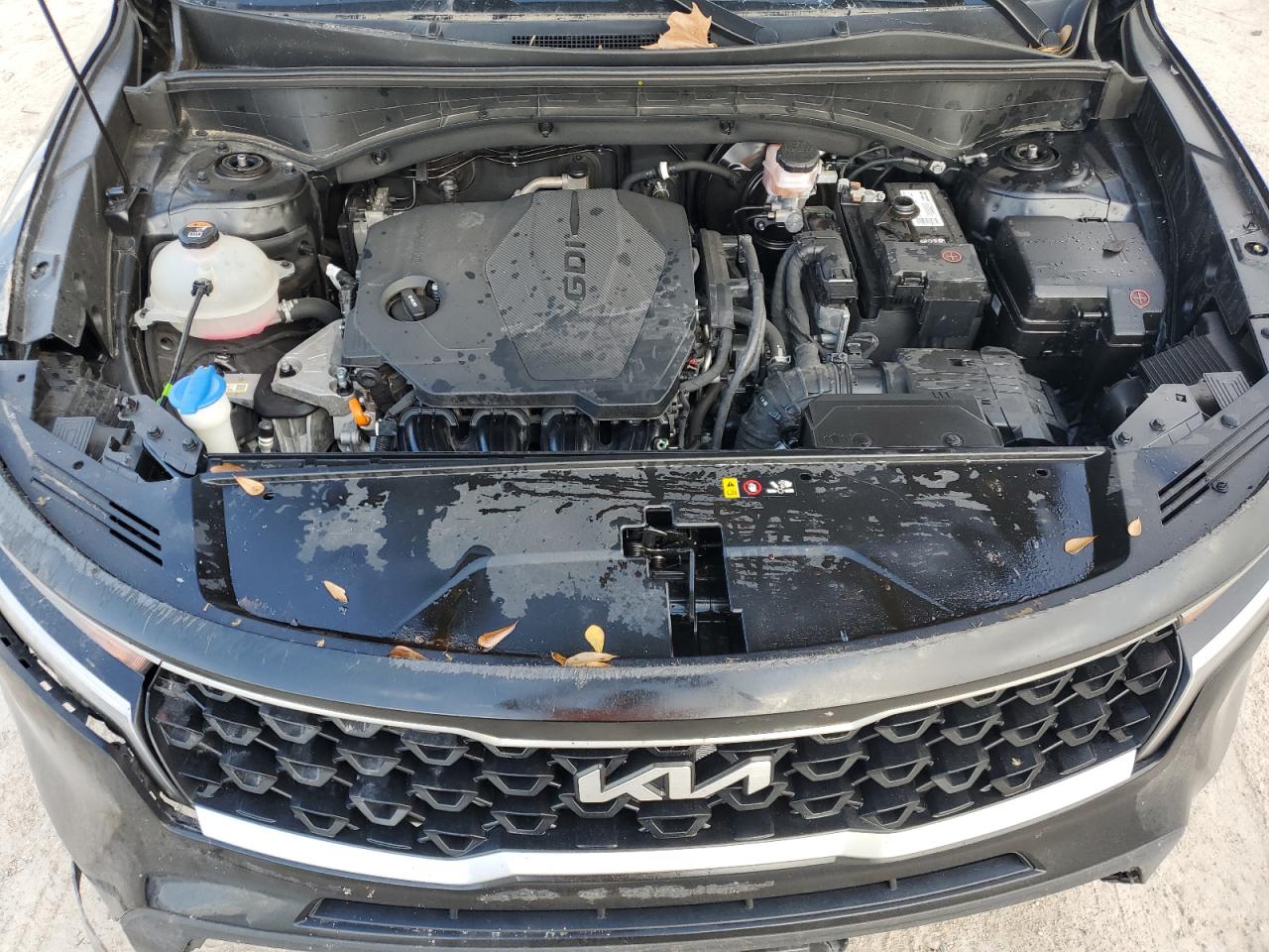 2023 KIA SORENTO LX VIN:5XYRGDLC7PG166830
