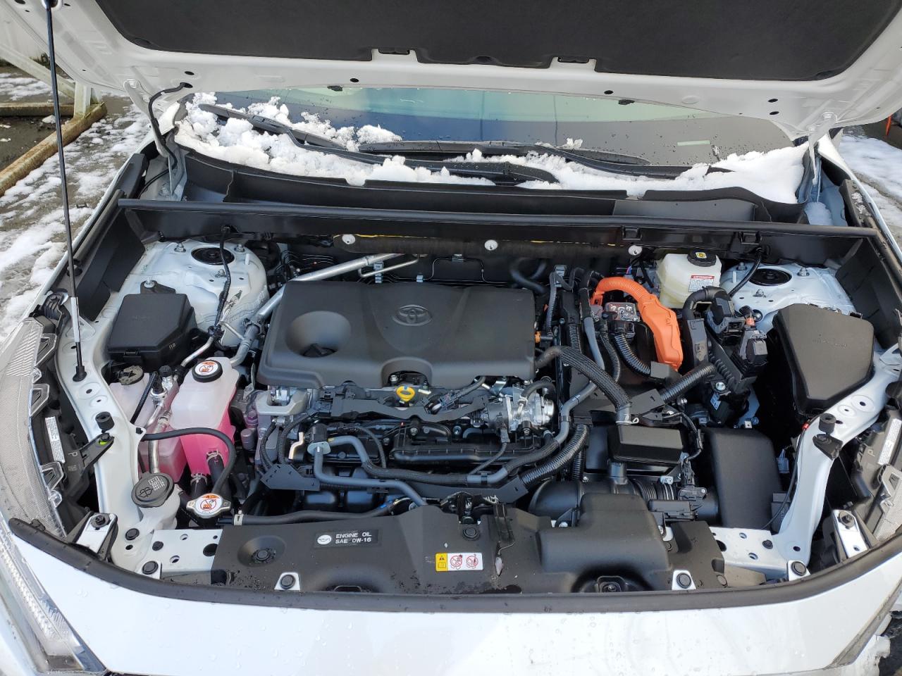 2024 TOYOTA RAV4 XSE VIN:JTME6RFV3RJ059076