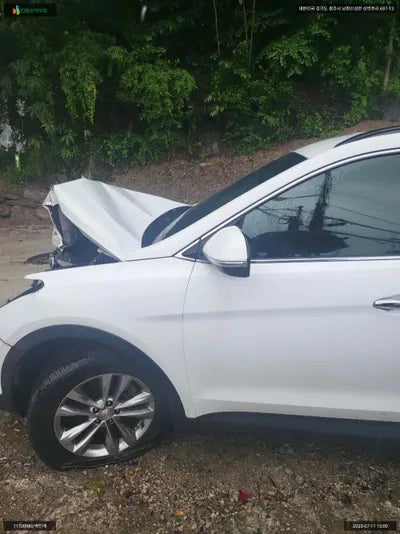 2018 Hyundai Santa FE KMHSW81UBJU862455 VIN:KMHSW81UBJU862455