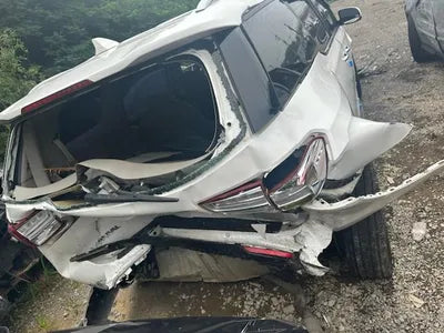 2017 Kia Carnival KNAMB81ABJS385685 VIN:KNAMB81ABJS385685