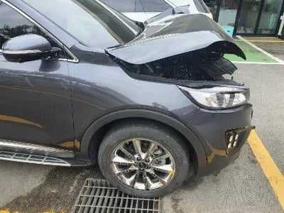 2017 Kia Sorento KNAPK81BDHA310421 VIN:KNAPK81BDHA310421